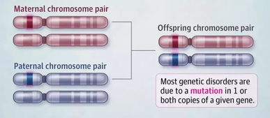 美国顶尖儿科医生建议 儿童基因检测的适用情况与考量