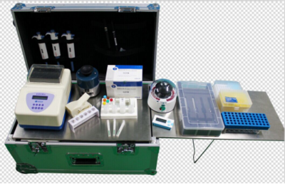 喜报 | 上海快灵推出多重专利基因试纸卡，引领精准检测新篇章