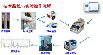 浅谈肿瘤基因检测 精准医疗时代的核心钥匙