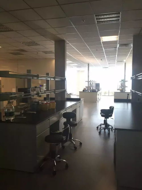 从恋爱到二胎都能测，消费级基因检测靠谱吗？